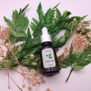 Tinh Dầu Peppermint – Bạc Hà | Moodlight Studio | Xông phòng & làm nến